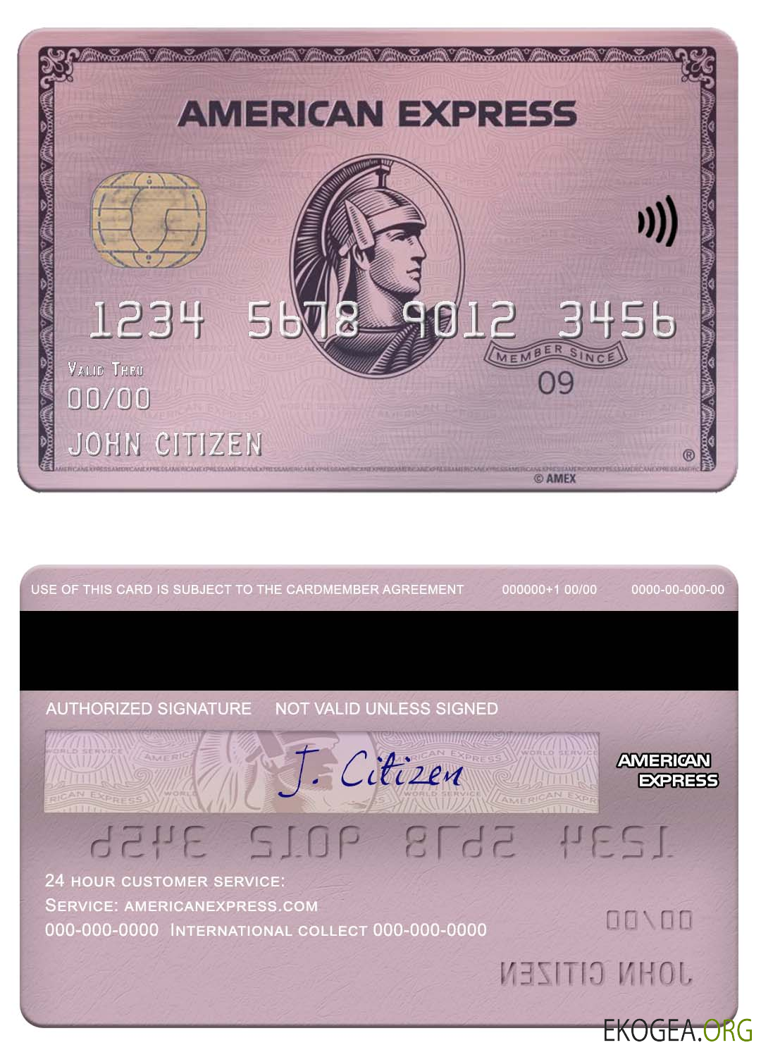 Carte américaine ADP Earnings Bank American Express en or rose